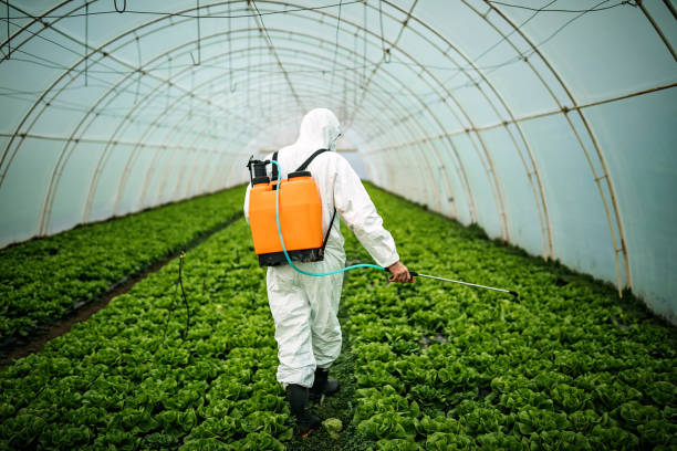 Best Best Pest Control Companies  in North Las Vegas, NV