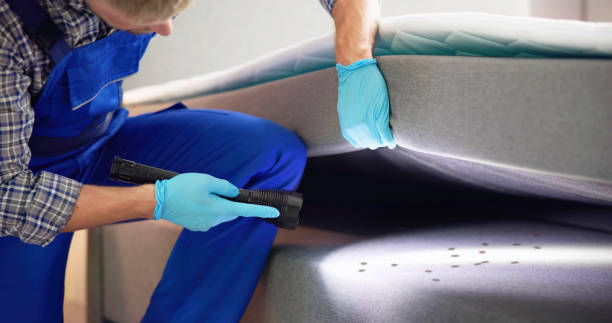 Best Pest Control Near Me  in North Las Vegas, NV