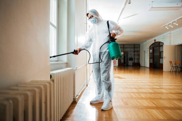 Best Pest Inspection Near Me  in North Las Vegas, NV
