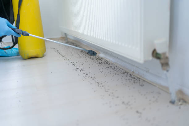 Best Wildlife Control Services  in North Las Vegas, NV