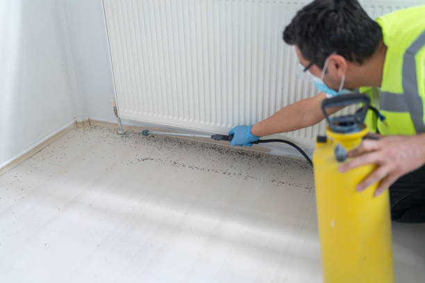 Best Pest Removal Services  in North Las Vegas, NV